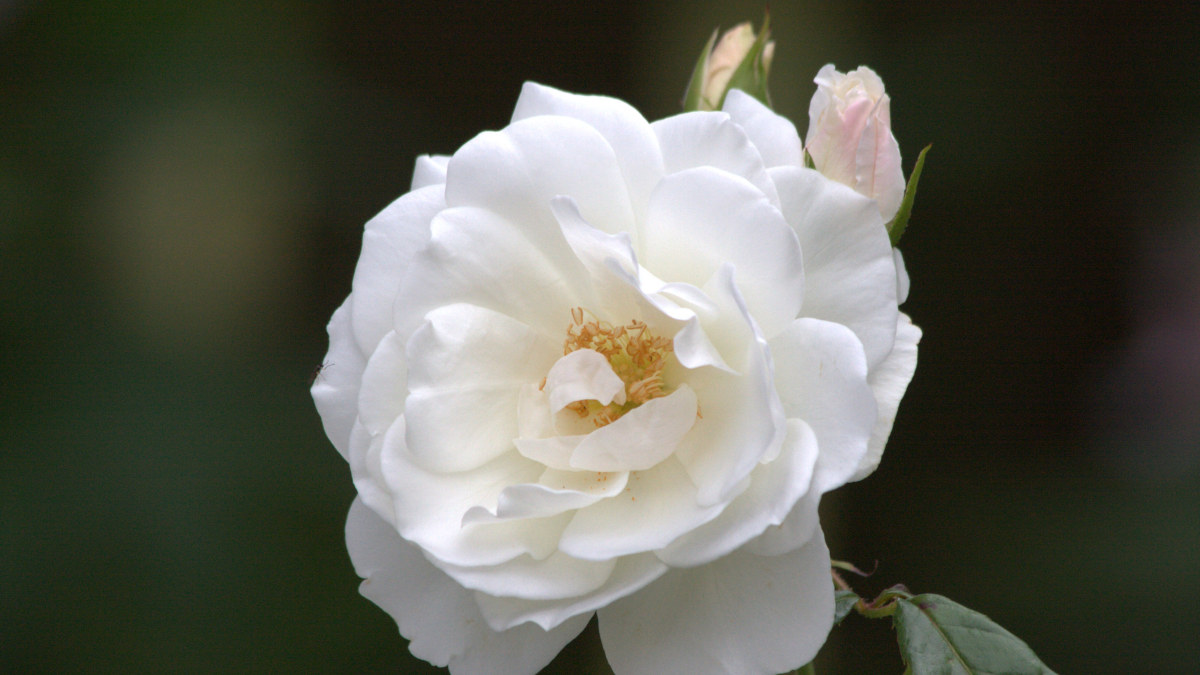 Sometimes life just won't stand still, like this sparkling water in a fountain