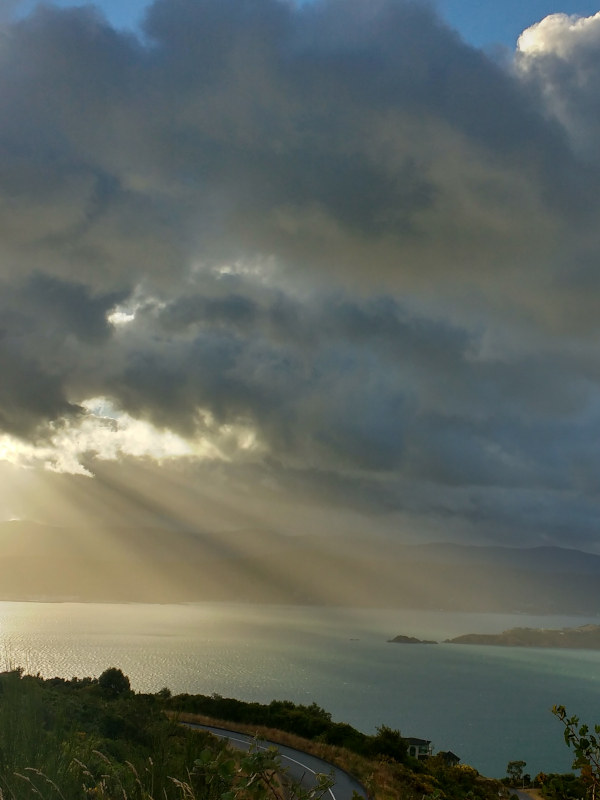 Soft pink spring cherry blossom reflects the warmth and softness which comes from practicing HeartMath techniques